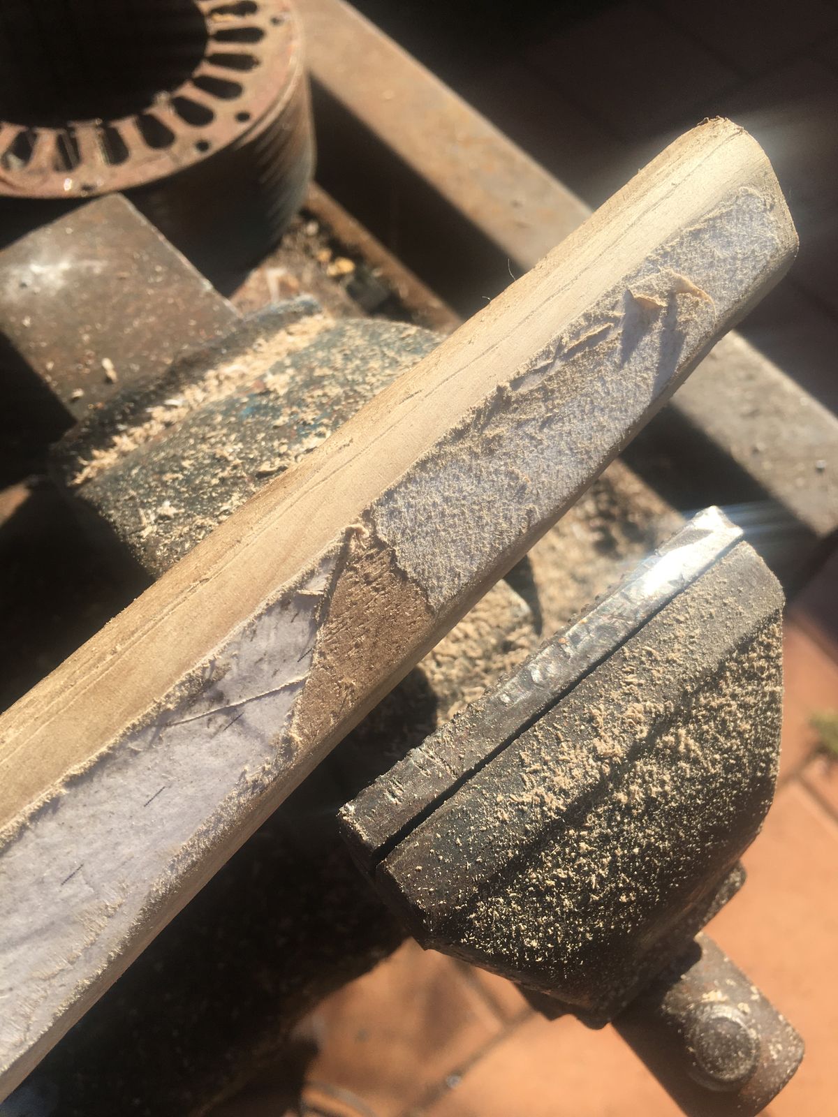 WhatsApp Image 2025-04-27 at 23.11.016.jpeg